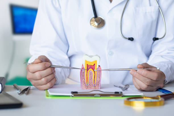 Best Urgent Tooth Repair  in Waterville, ME